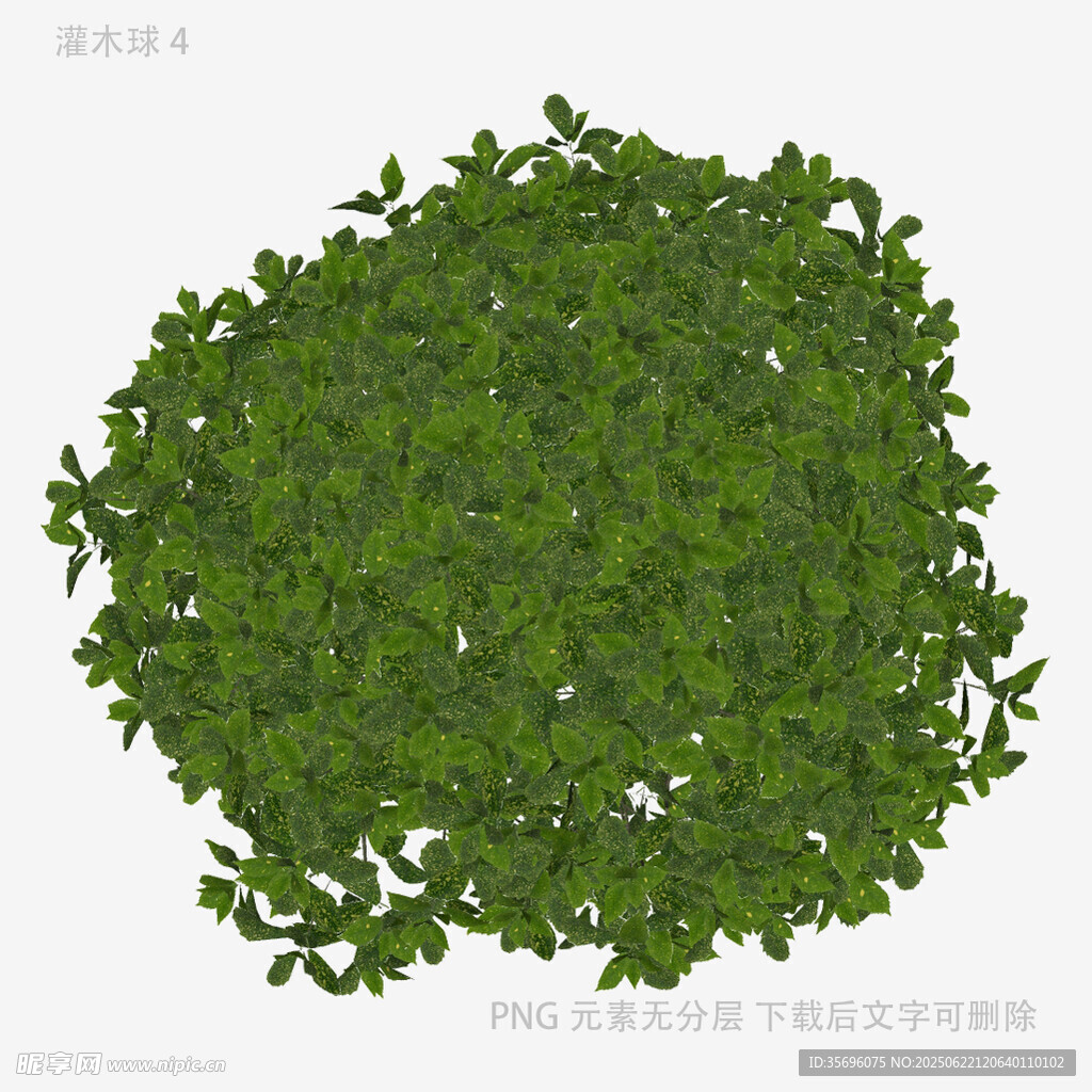 圆形绿植模型