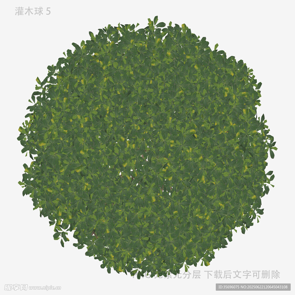 圆形绿植景观