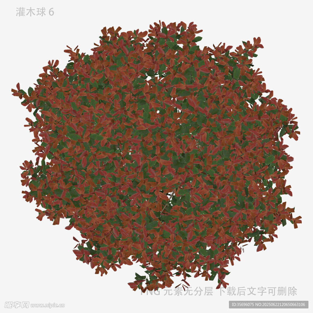 红色灌木植物顶视图
