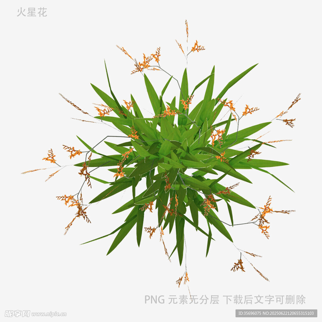 绿植上的橙色蝴蝶飞舞