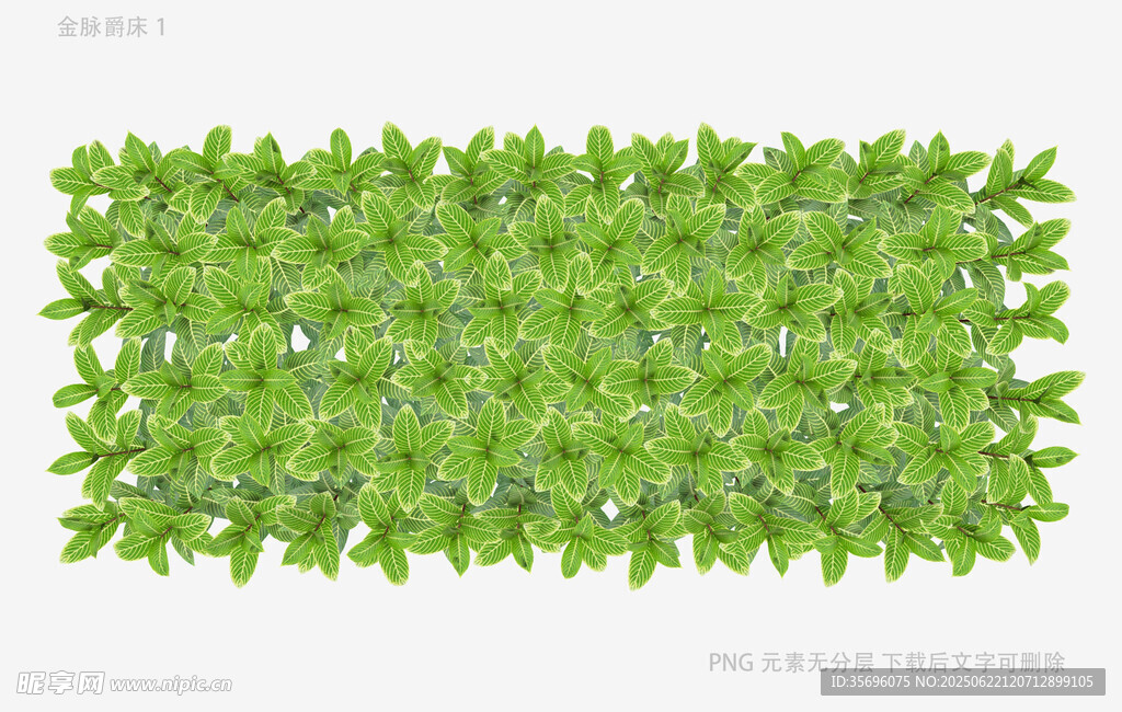 绿色植物墙图案设计素材