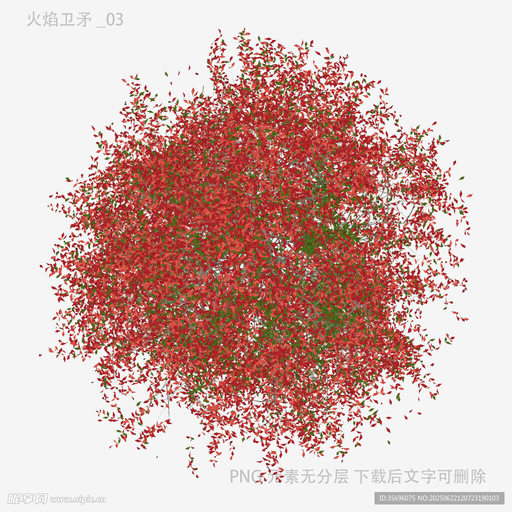 红色繁花植物3D模型