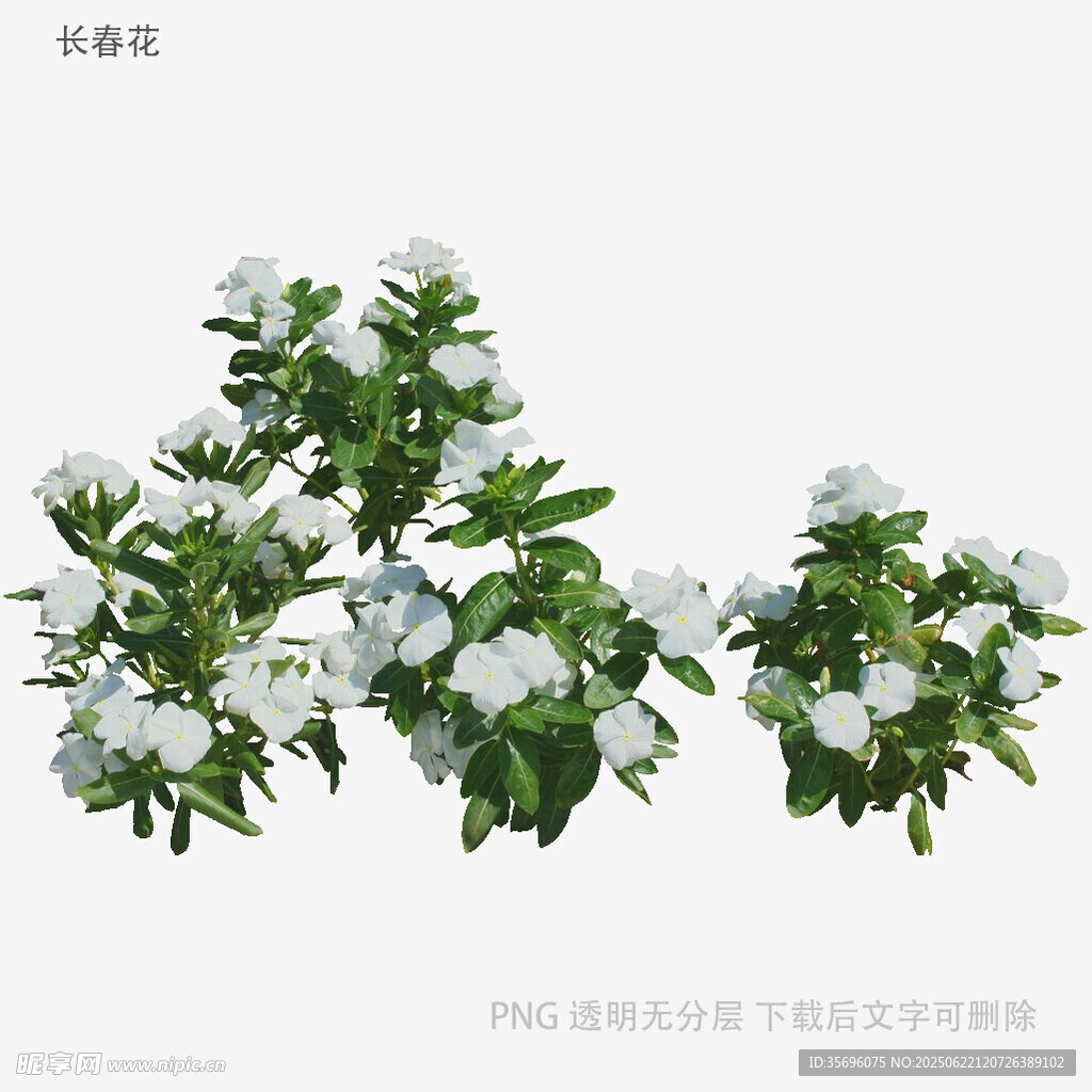 三株带雪绿植花卉模型