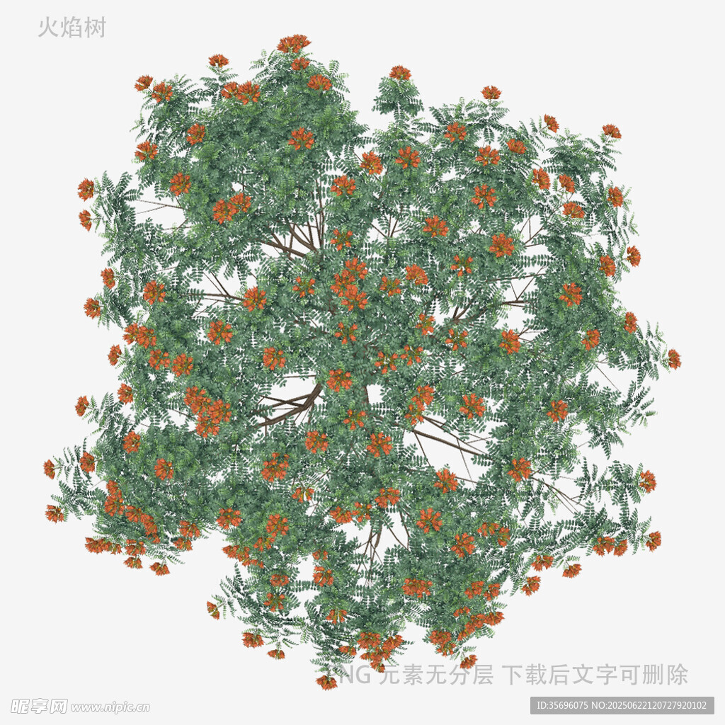 橙色花朵绿植图案设计