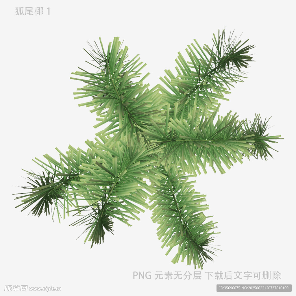 绿色松枝星形装饰图案