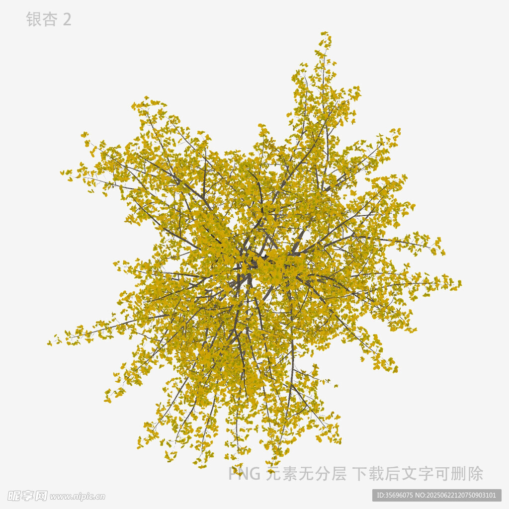 黄色枝叶植物3D模型