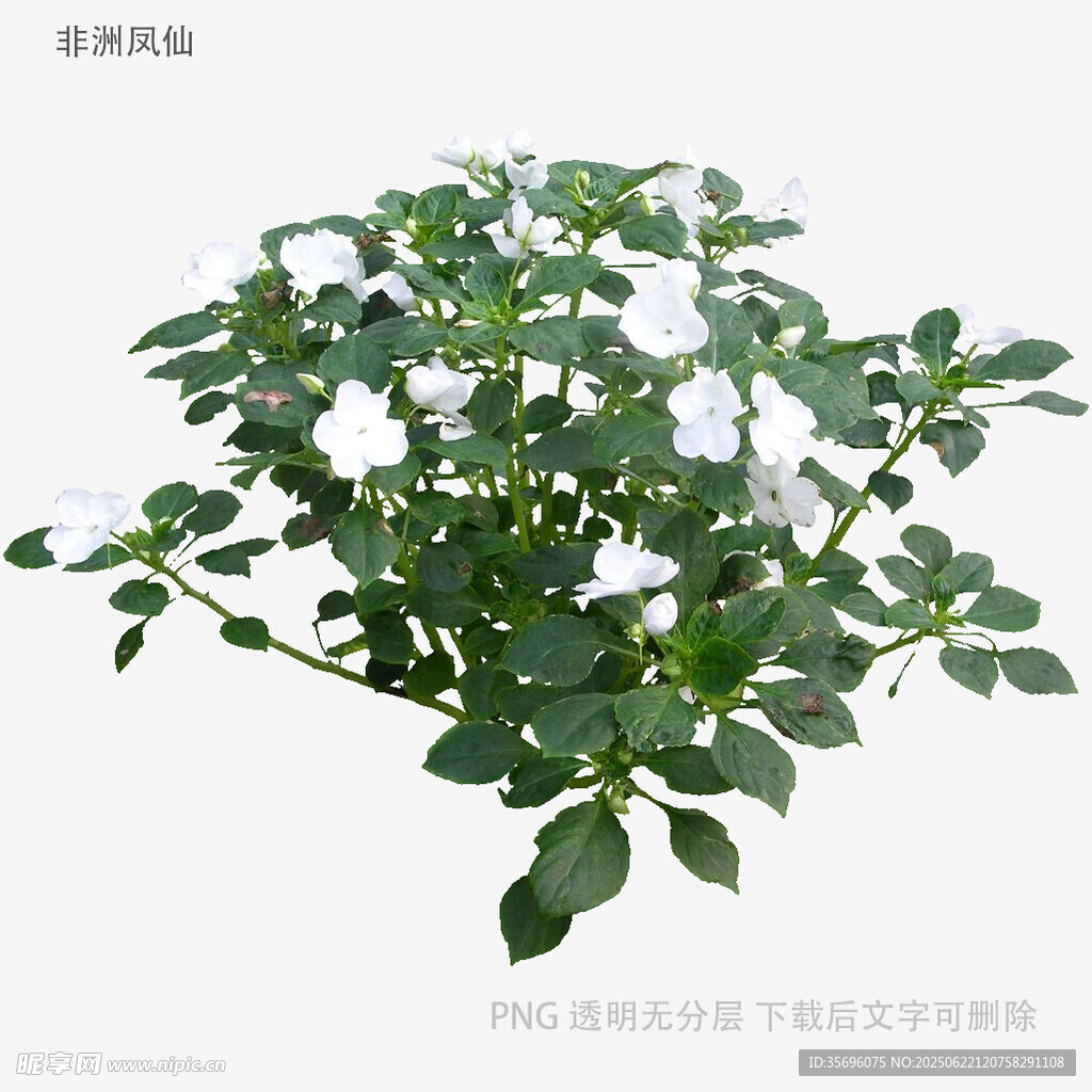 绿色繁茂植物3D模型