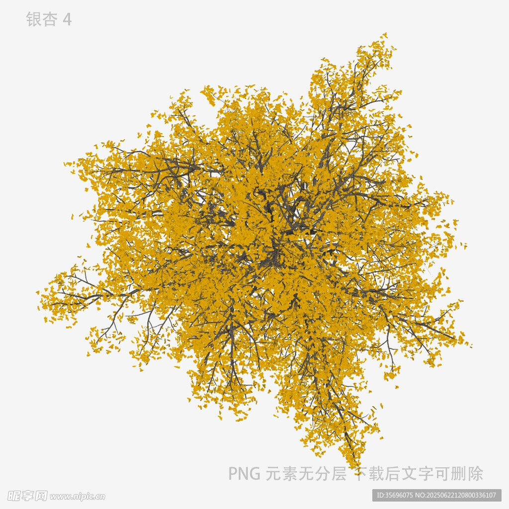 植物