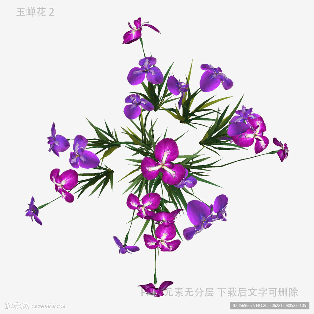 植物
