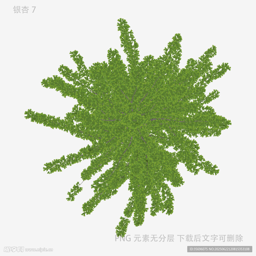 俯视视角绿色植物顶视图