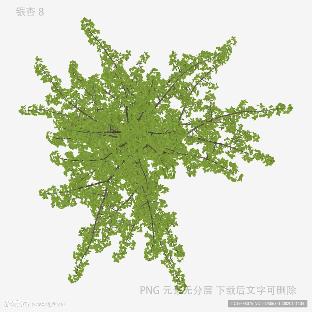 俯视视角绿色植物景观