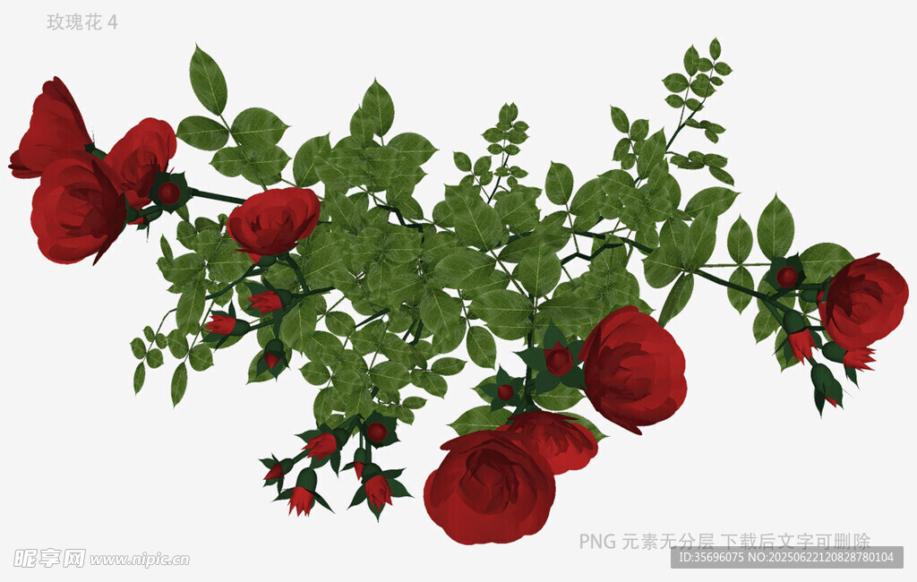 红色玫瑰植物3D模型
