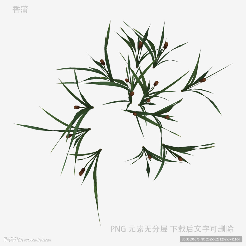 水墨风竹叶插画
