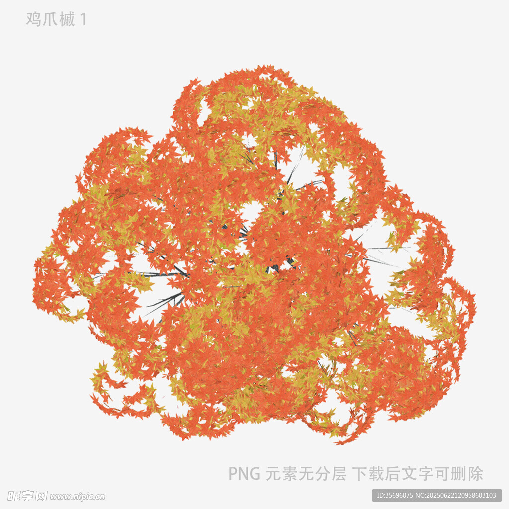 蛋白质分子结构可视化图像