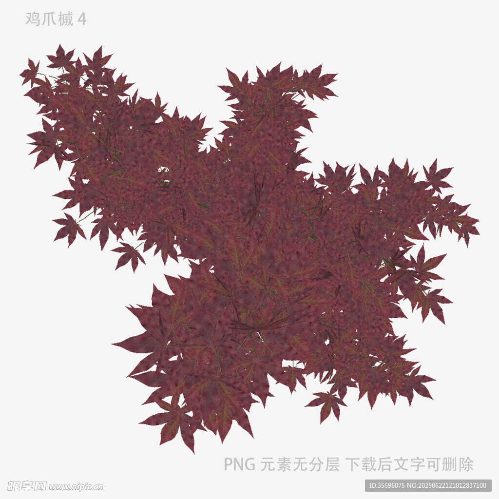 深红枫叶图案设计素材