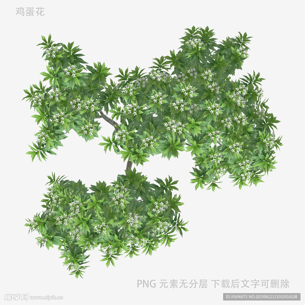 三维绿树模型