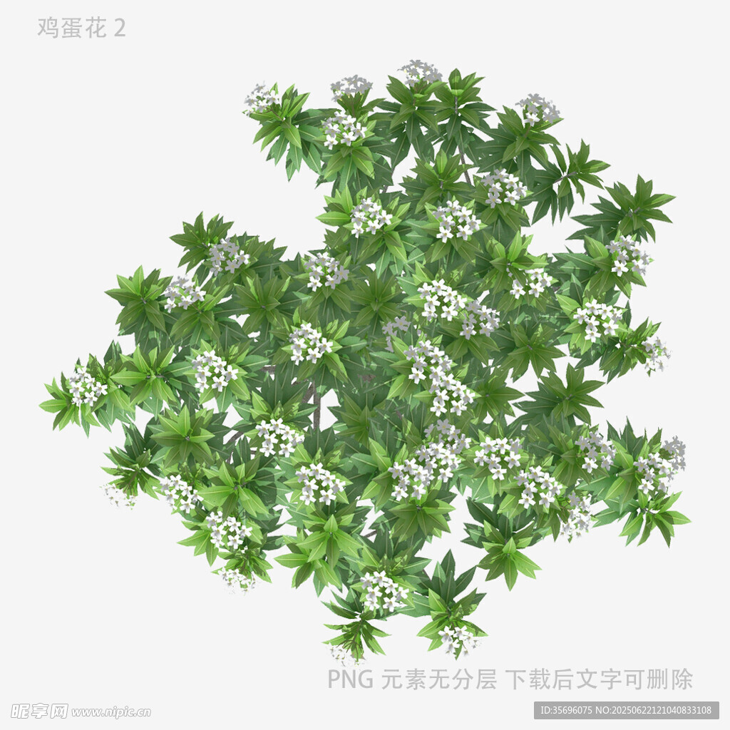 绿色繁茂植物3D模型