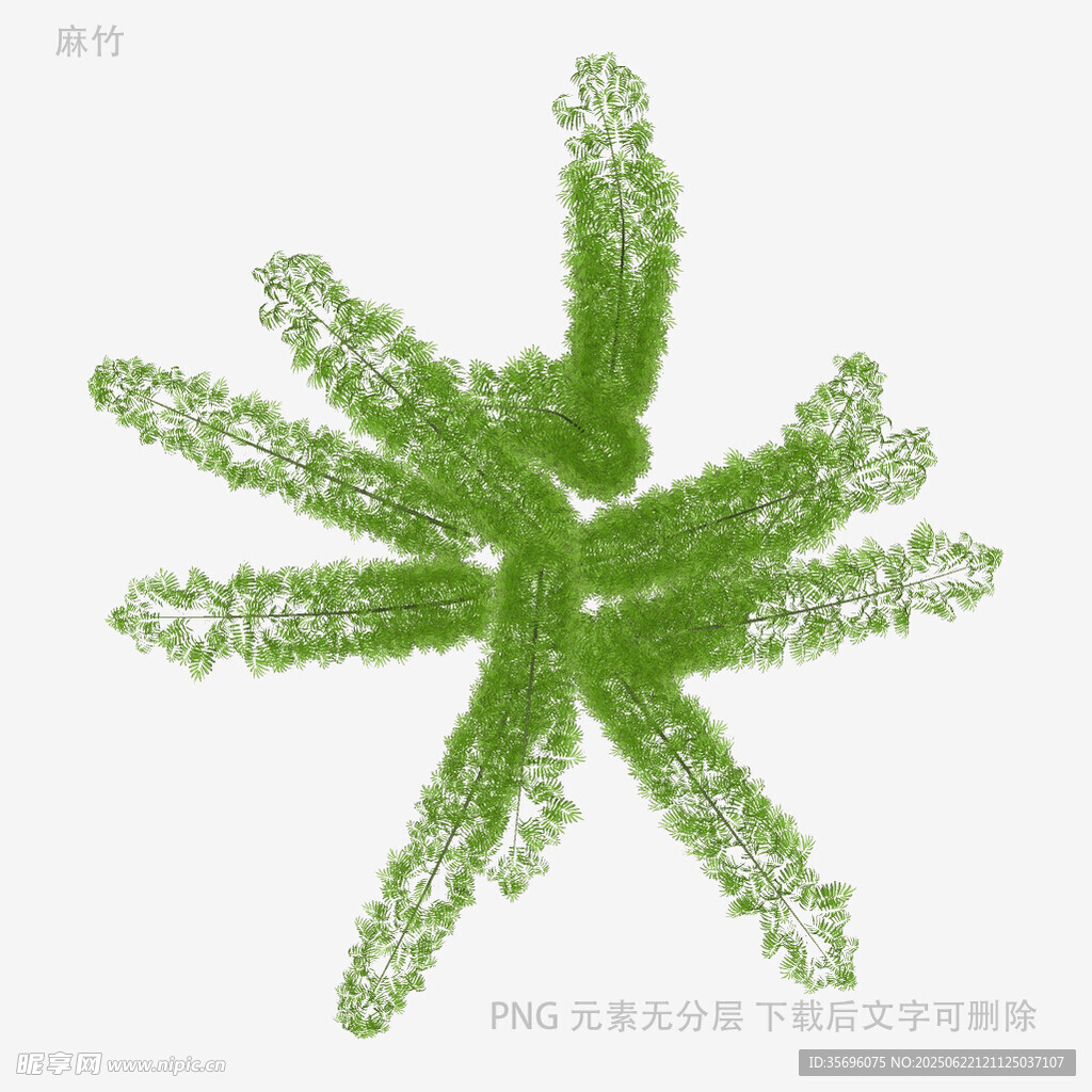 绿色星形植物图案设计元素
