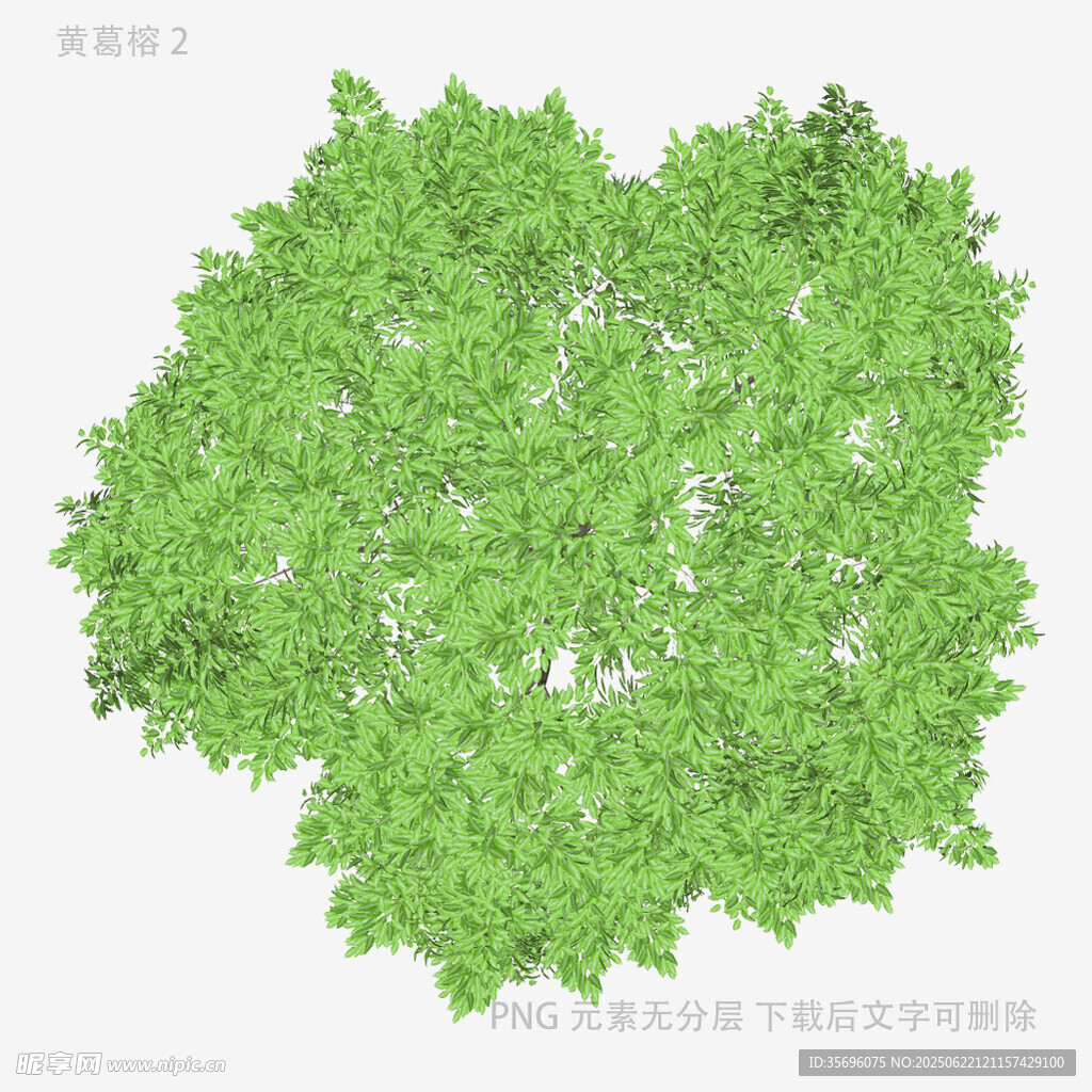 心形绿植图案