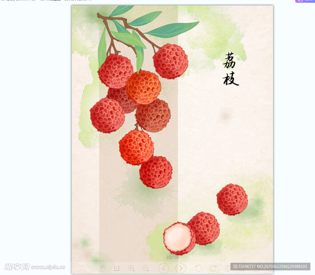 夏天荔枝手绘质感水果复古插画