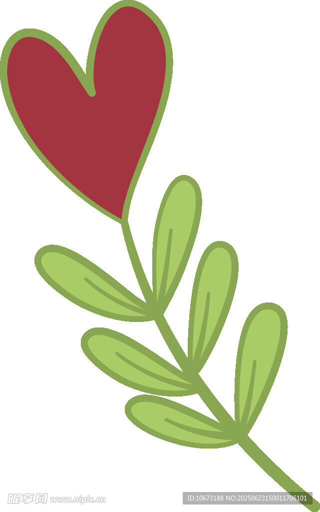 心形叶片植物插画