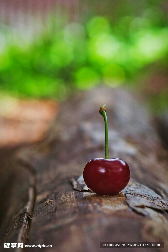 樱桃