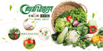 有机蔬菜