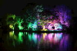 瘦西湖夜景