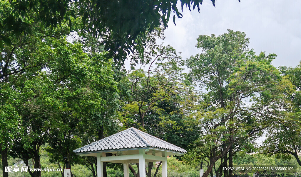 林间凉亭