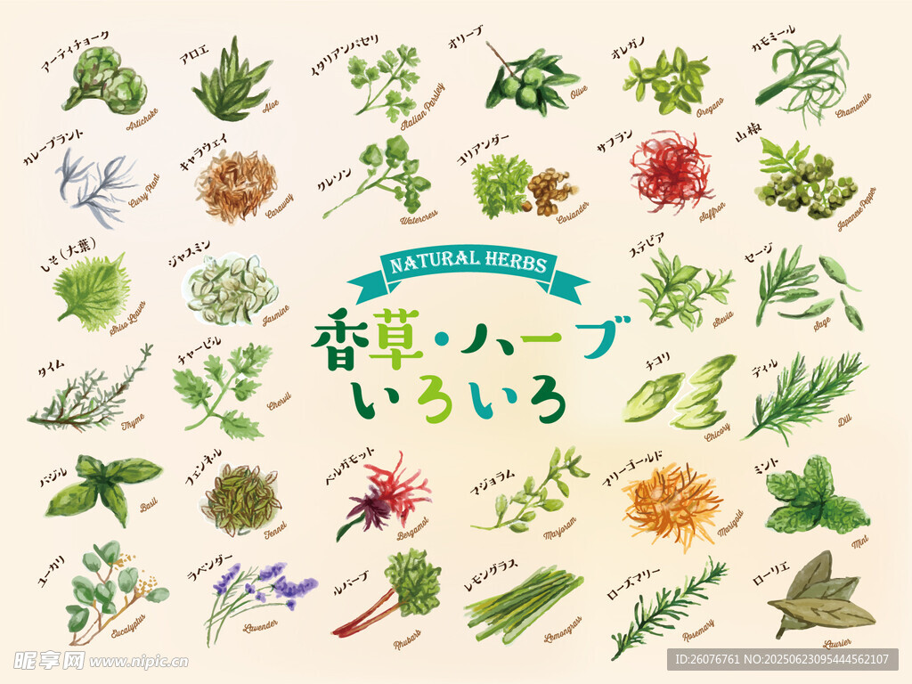 多样绿植插画集合