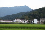乡村