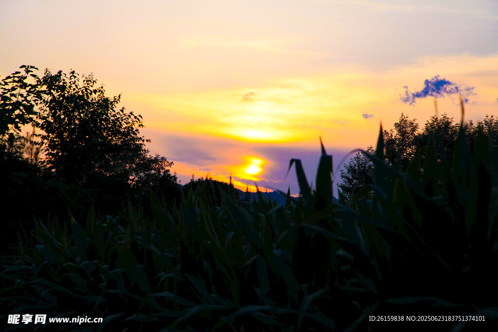 夕阳