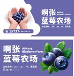 蓝莓农场海报