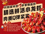 精选鲜活小龙虾海报