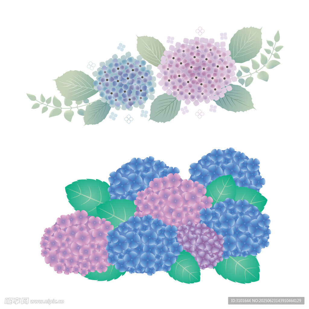 矢量绣球花
