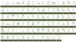 中草药手绘