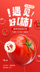 西红柿海报