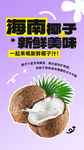 海南椰子海报