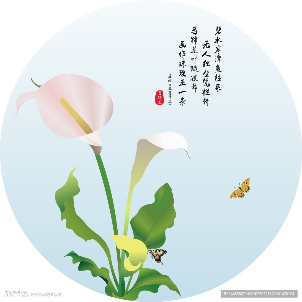 马蹄莲矢量线稿艺术图简约挂画