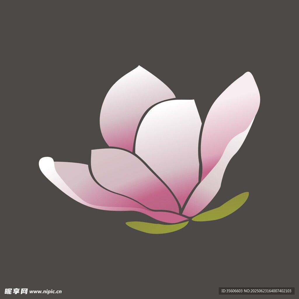 玉兰花图标