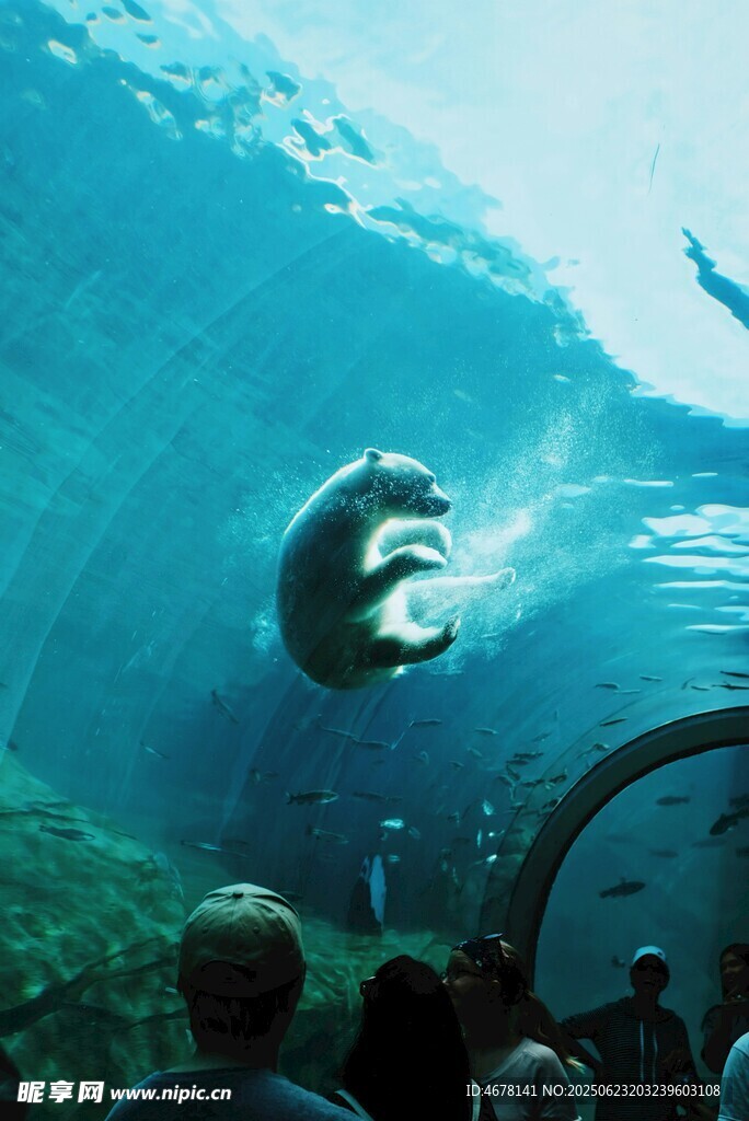 水族馆中众人观赏水中生物