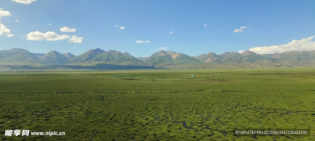广袤草原与远处山峦美景