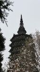 古塔旁绽放的烂漫春花