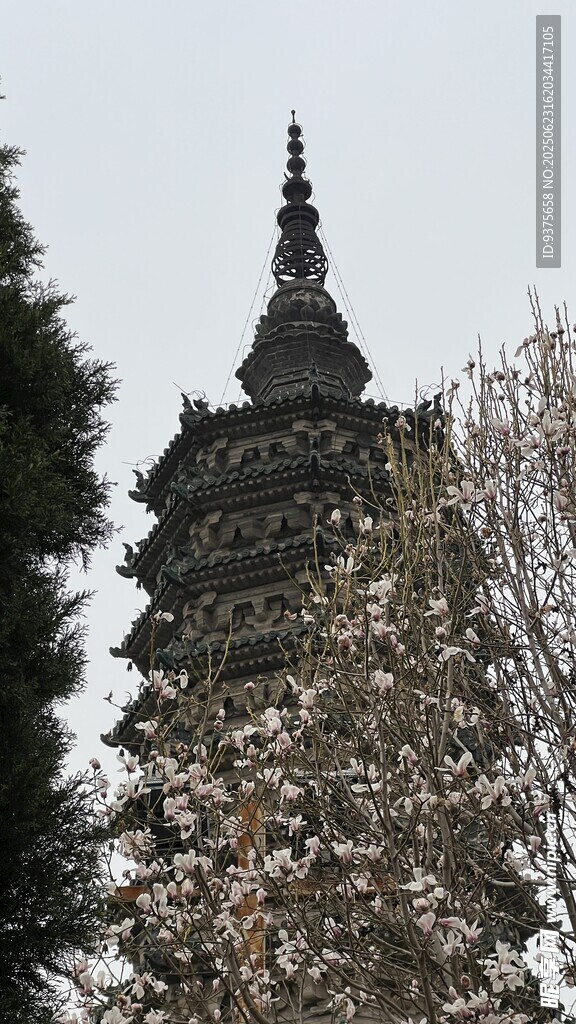 古塔立于繁花绿树间