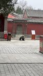 古建寺庙的虔诚教徒