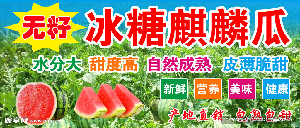 麒麟西瓜
