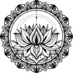 黑白莲花曼陀罗图案