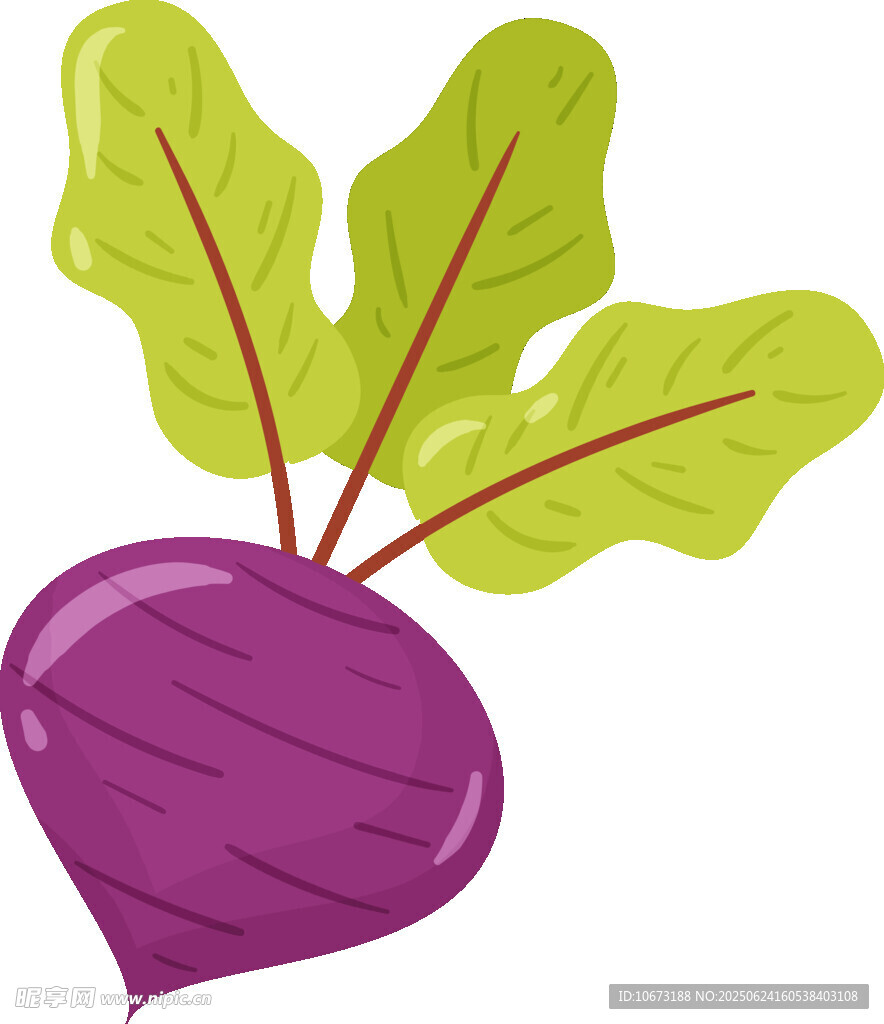 紫色甜菜插画