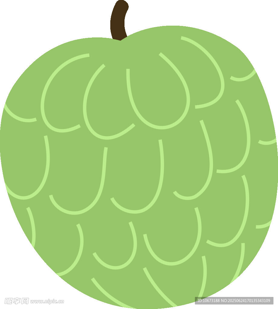 绿色番荔枝插画