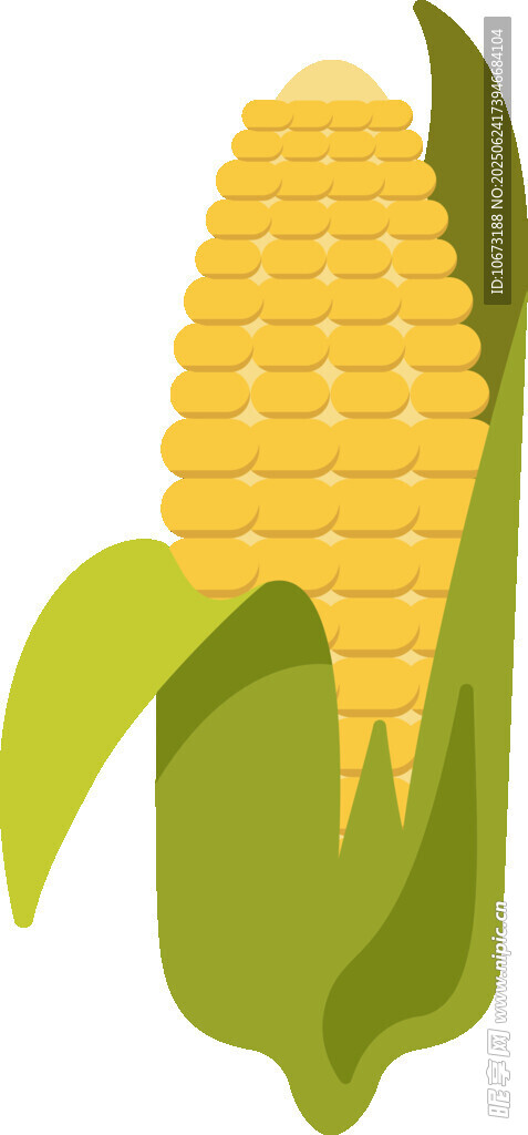 新鲜玉米棒
